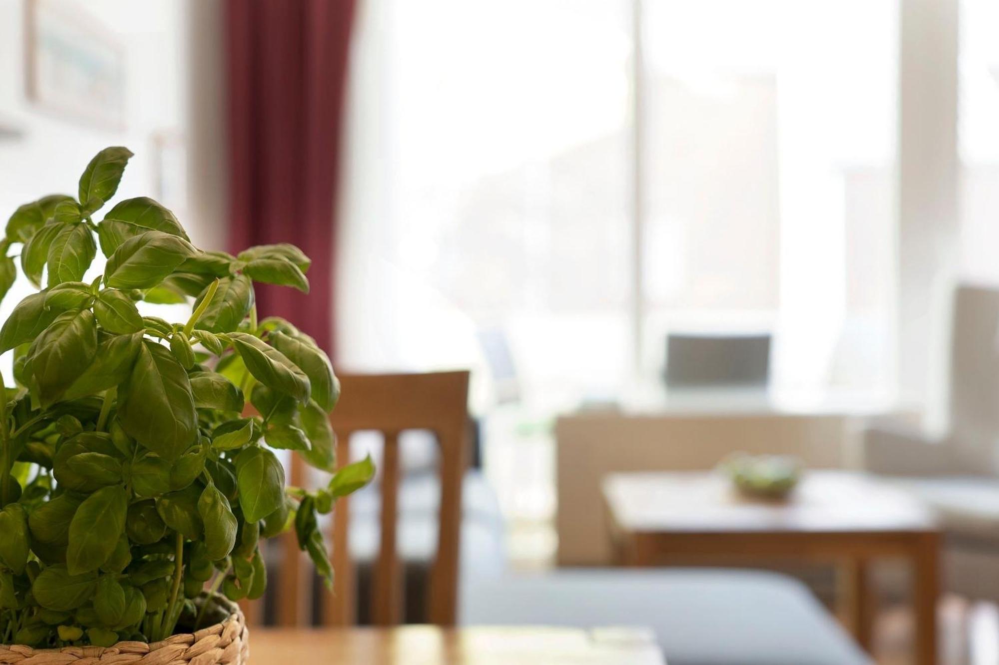 Apartmán An Der Aue 4A Albrecht Dahme  Exteriér fotografie