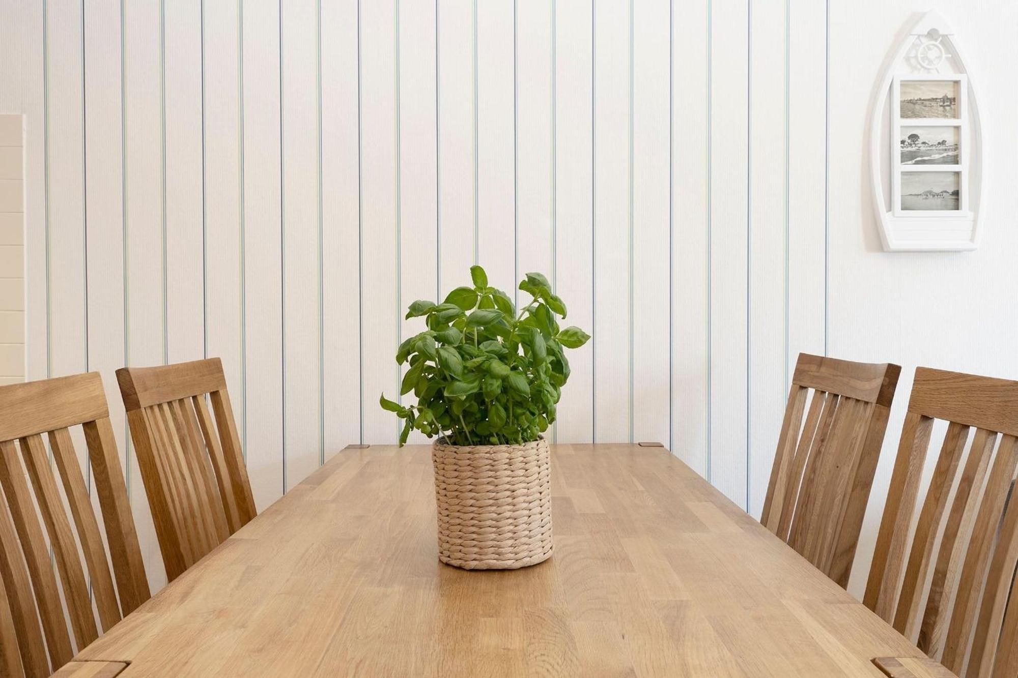 Apartmán An Der Aue 4A Albrecht Dahme  Exteriér fotografie
